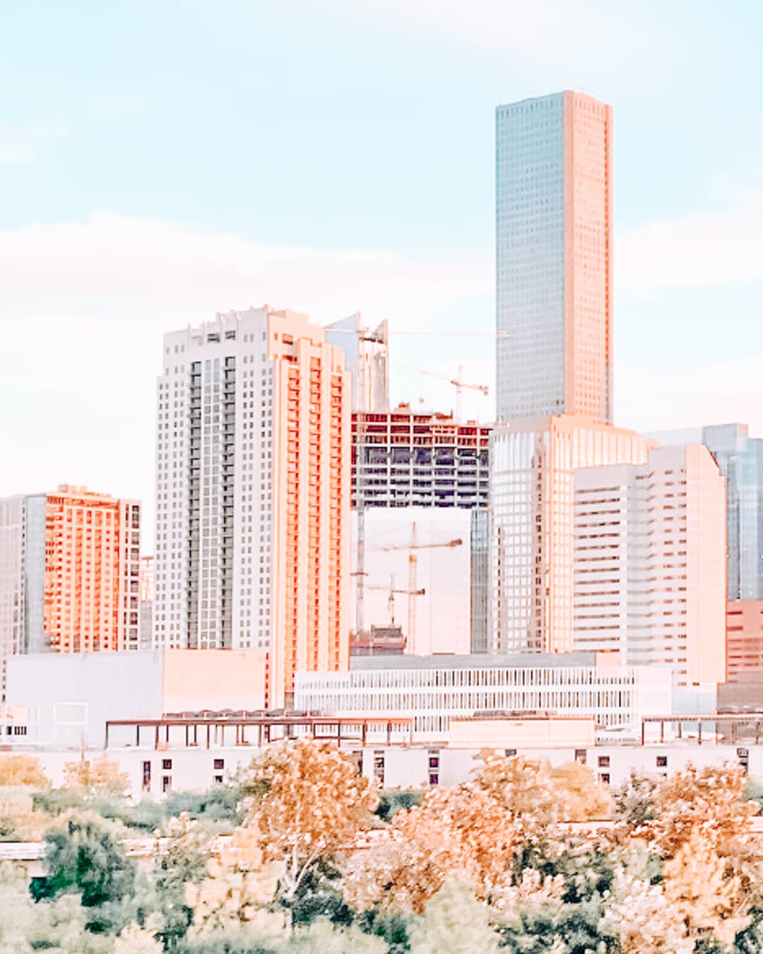 Buildings and trees in Houston