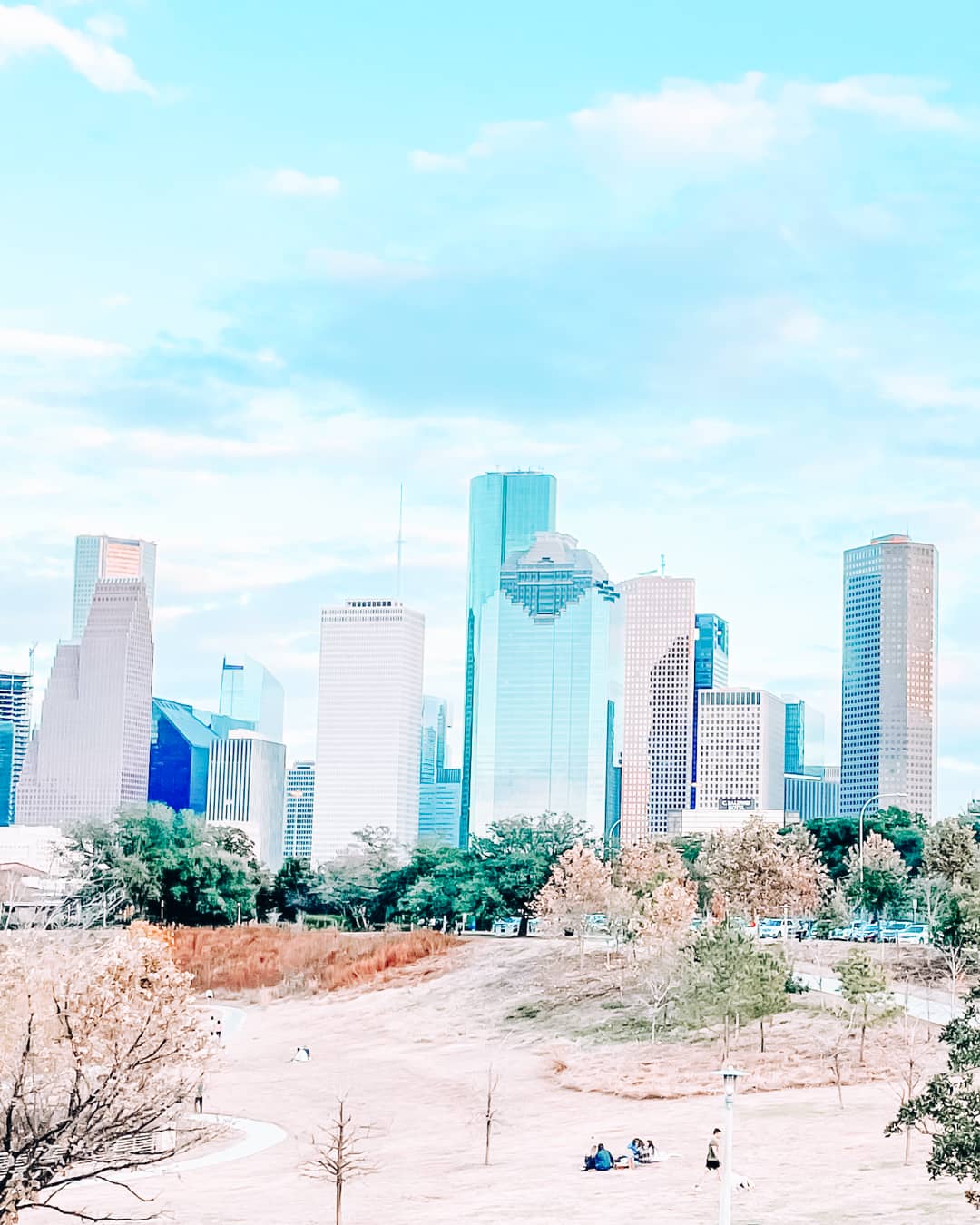 View of nature and buildings in Houston