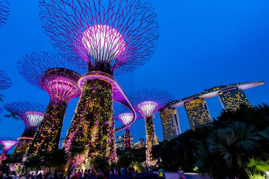 【新加坡濱海灣花園景點】天空樹、空中步道、花穹、霧林溫室怎麼玩（含門票與交通攻略）