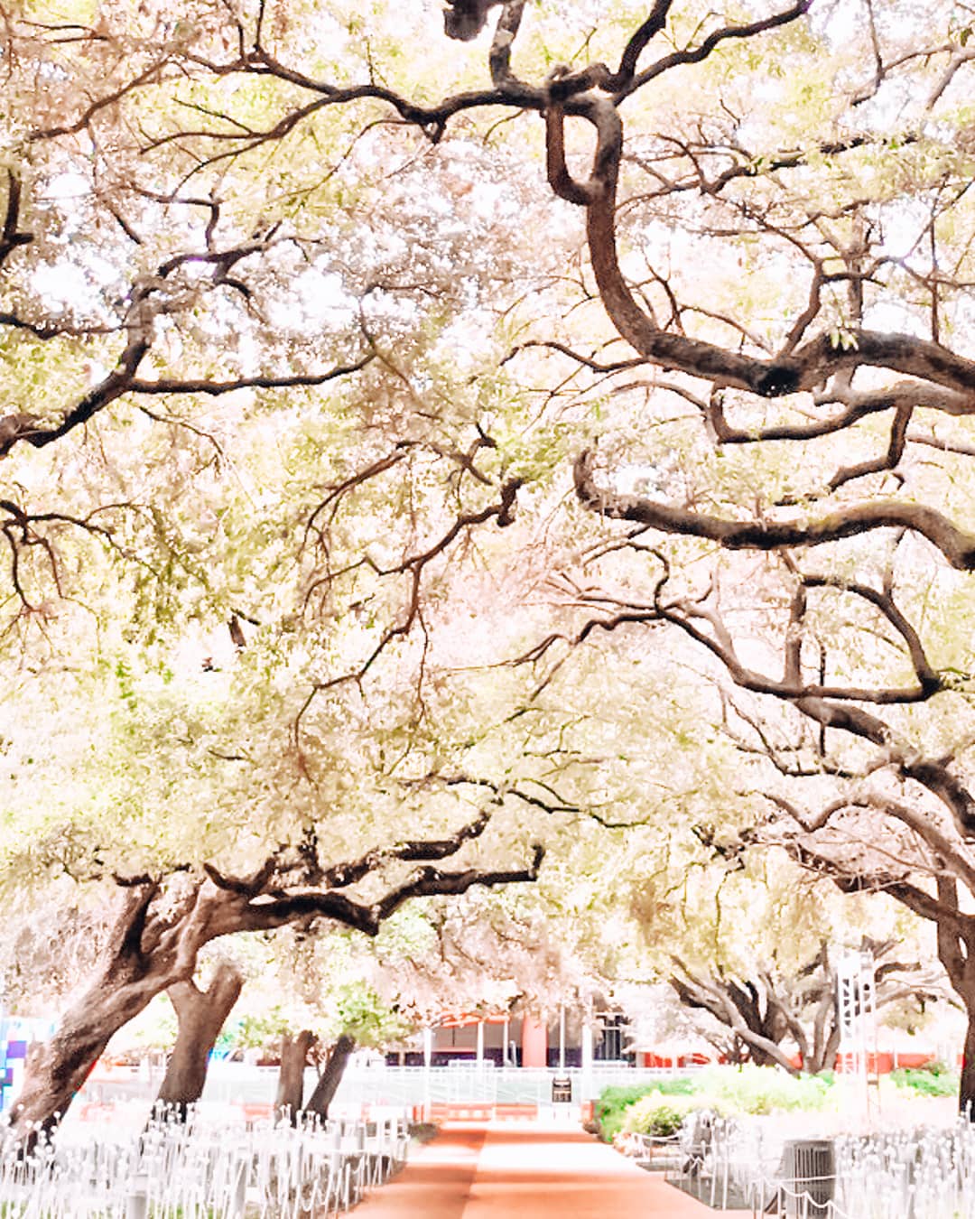 Discovery Green in Houston