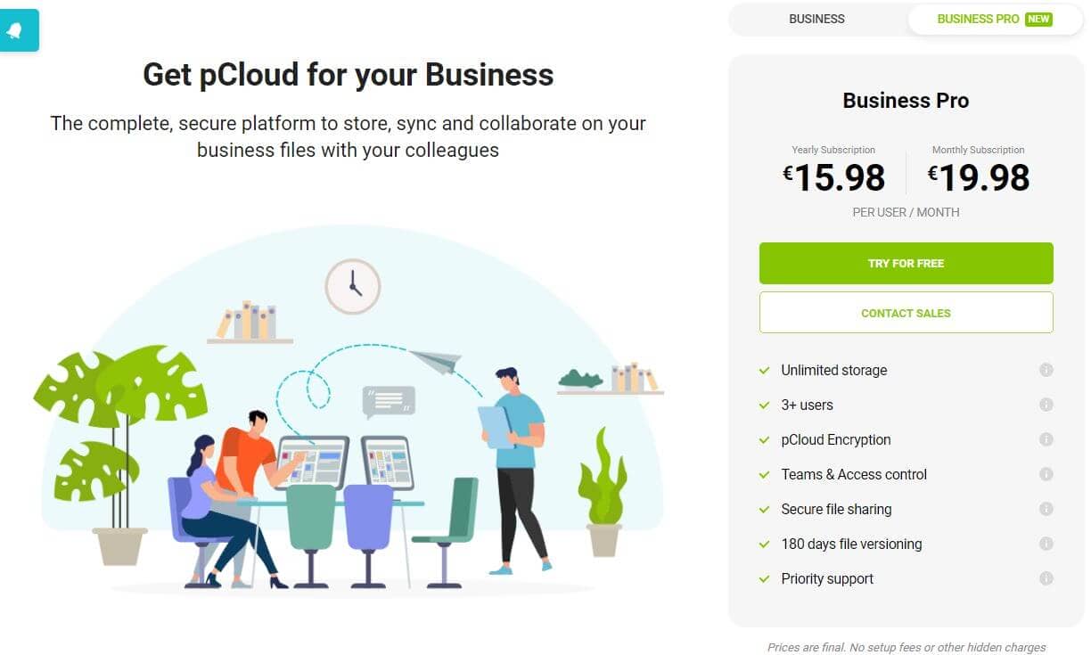 pCloud Business