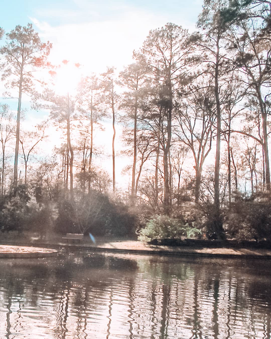 Houston Arboretum & Nature Center