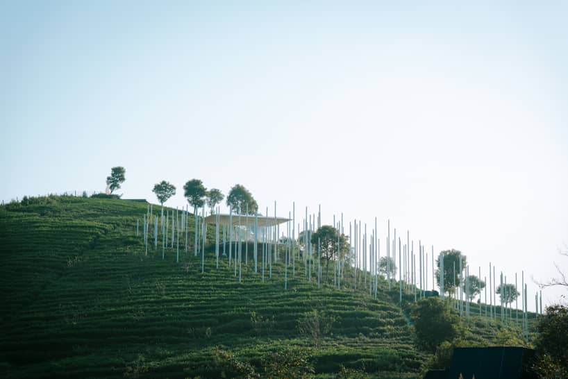 cloud tea room emerges from chinese hillside along with white steel poles