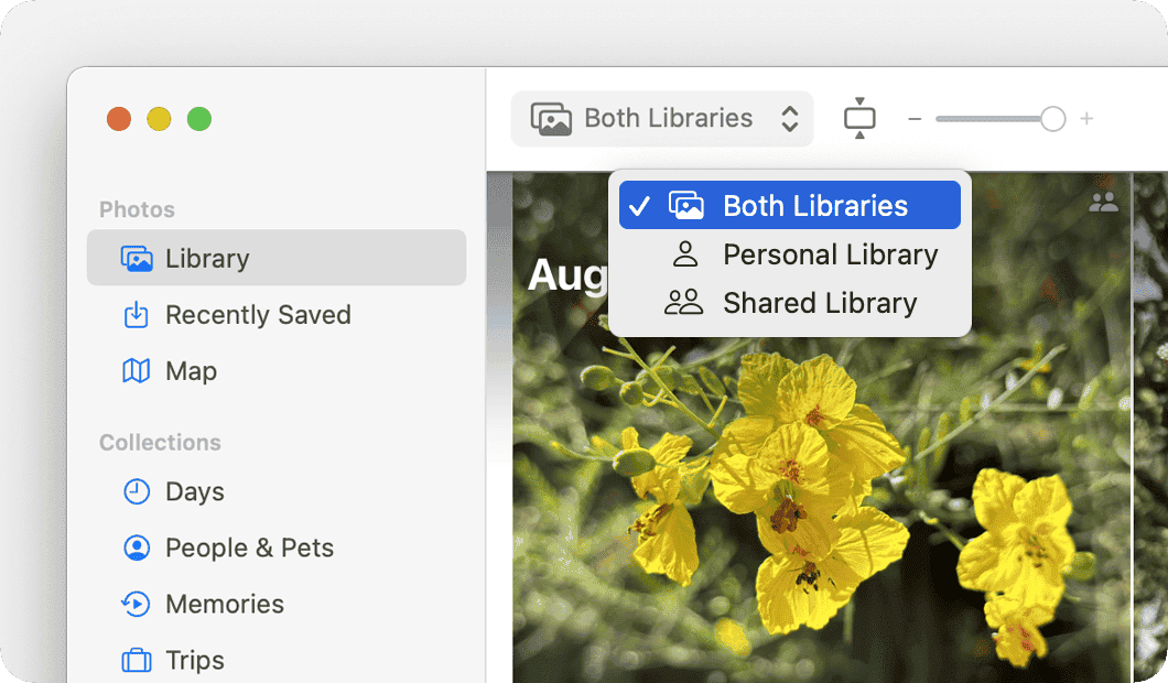 A Mac screen showing that you can toggle between Both Libraries, Personal Library, and Shared Library. 