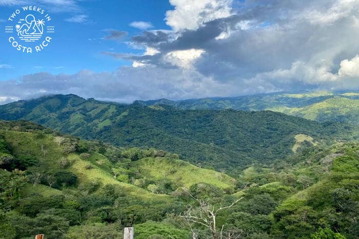 expansive view of green mountains 