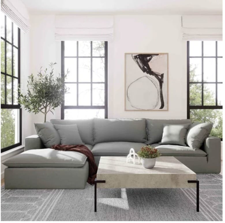 Gray couch in large room with lots of windows. There is a large rectangular coffee table, an area rug and a plant in the corner