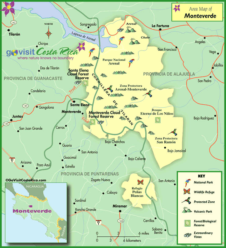 A Traveler’s Guide to the Monteverde Cloud Forest Reserve